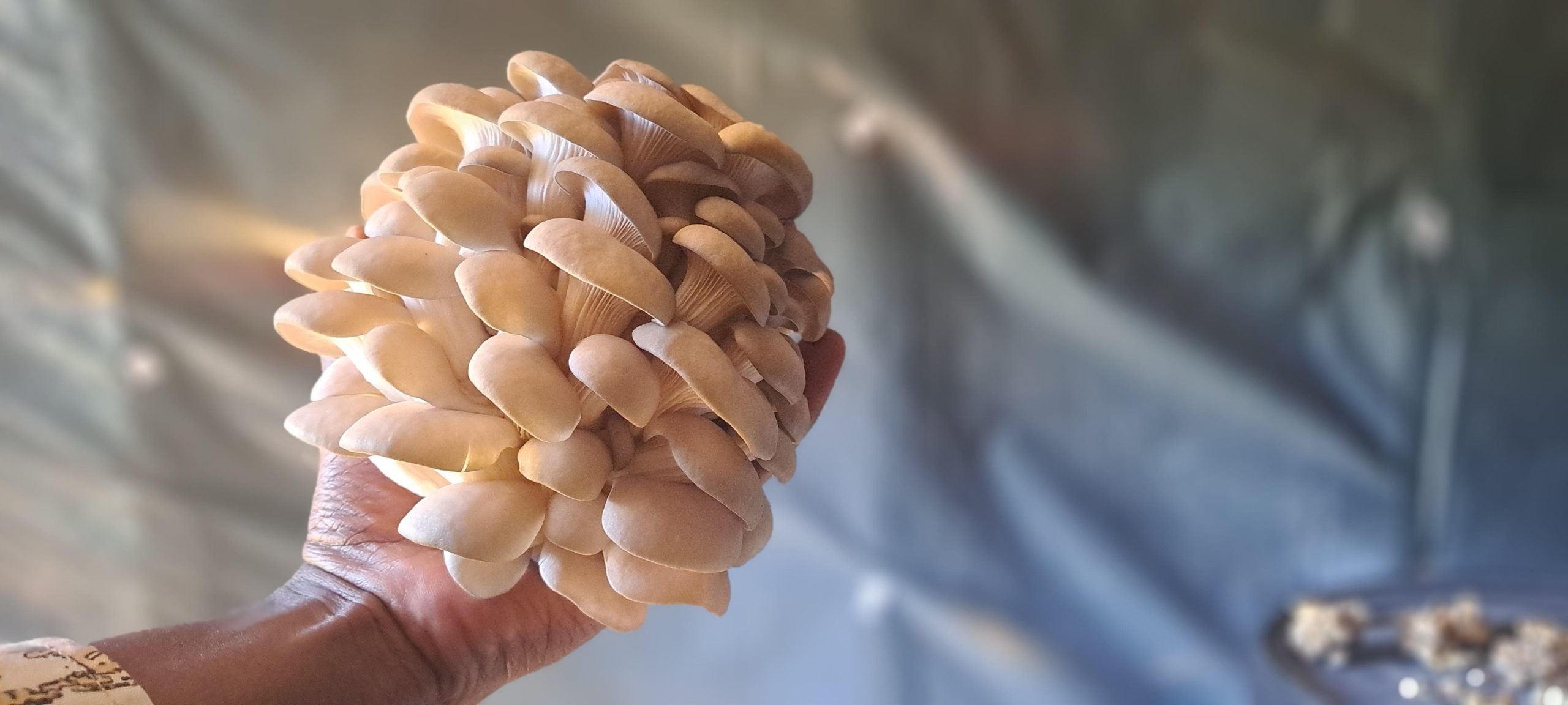 374762958_9917014898370321_382799366318875205_n 374762958_9917014898370321_382799366318875205_n